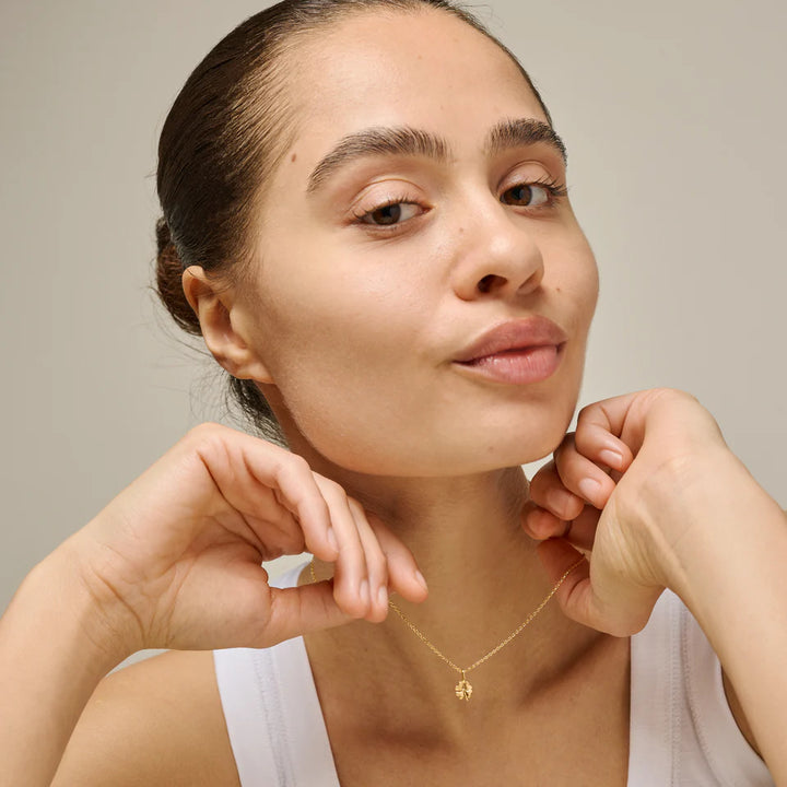 Enamel Four Leaf Clover necklace in gilded silver