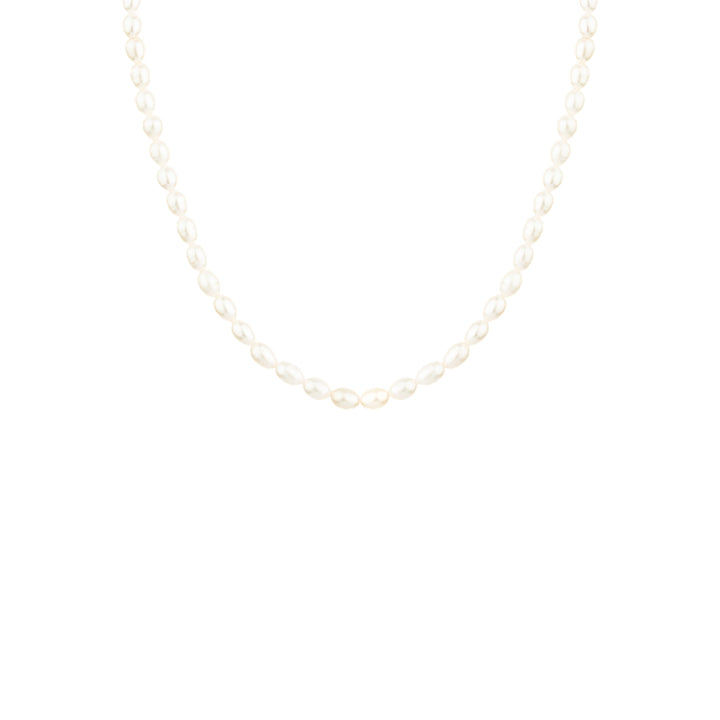 Vincent Venus Gold Plated Pearl Necklace