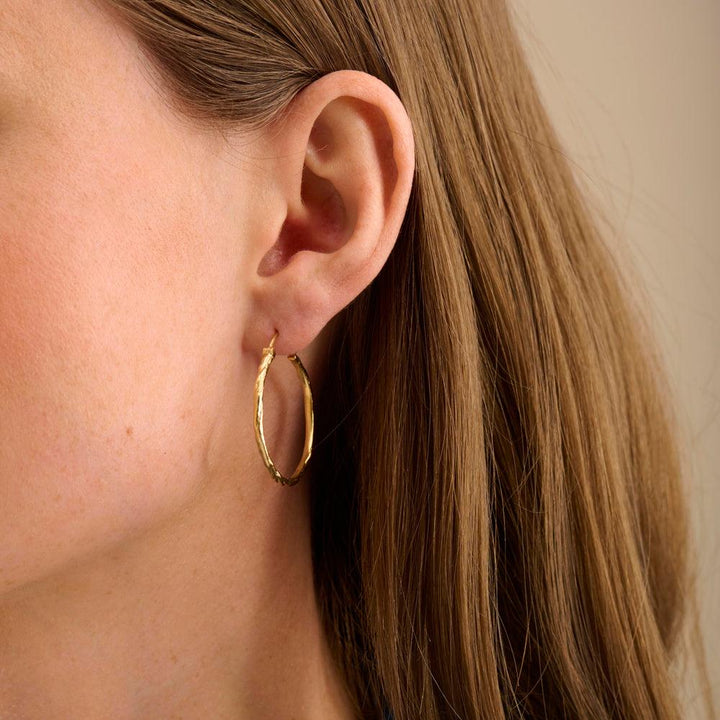 Pernille Corydon Ice Creoler I Forgyldt Sølv - Øreringe - E-237-GP