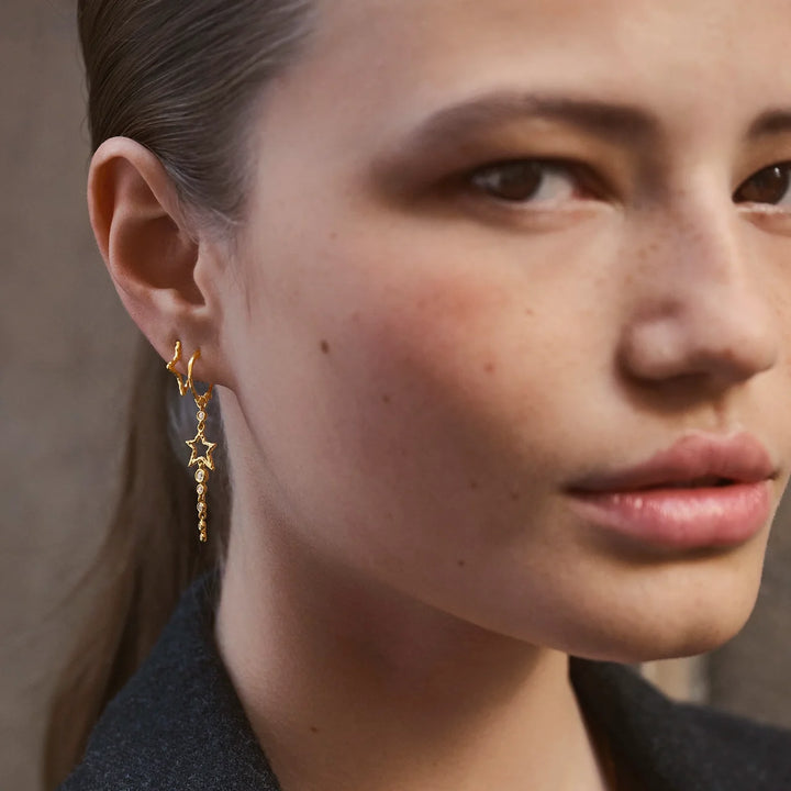 Sierra Earrings 