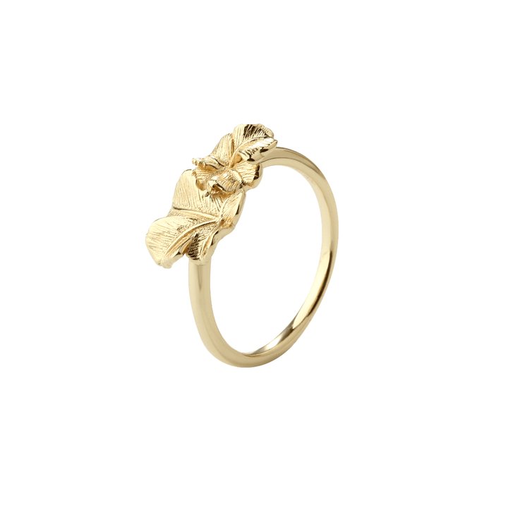 Aqua Dulce Folio Gold Plated Ring in elegant leaf-shaped design, glossy golden surface. Model 6192-001.