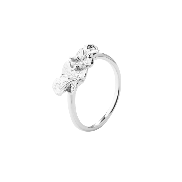 Aqua Dulce Folio Solv Ring shows an elegant silver ring with leaf motif and glossy finish. Model 6191-001-1.