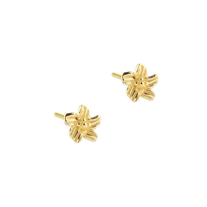 Aqua Dulce Jasmin Flower Small Earrings gold-plated, delicate flower earrings in gold-colored metal. Model 5880-5880-1