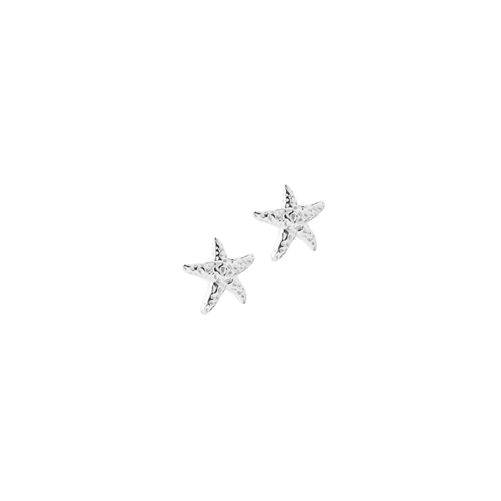 Aqua Dulce Stella earrings in silver, small star-shaped earrings on a white background. Model 6153-1.