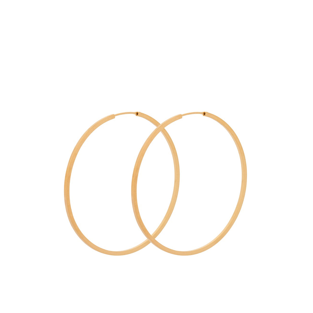 Orbit Hoops 50mm