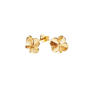 Gold-plated earrings