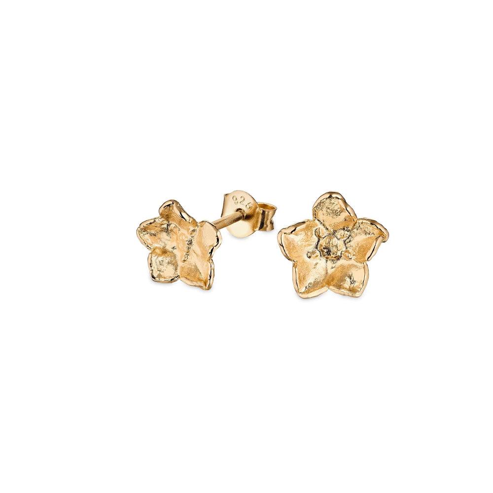 Flora Danica Medium Forget-me-not earrings in gold-plated silver, floral motif against a white background. Model 907-FMN-STPC-MEDIUM-G-1