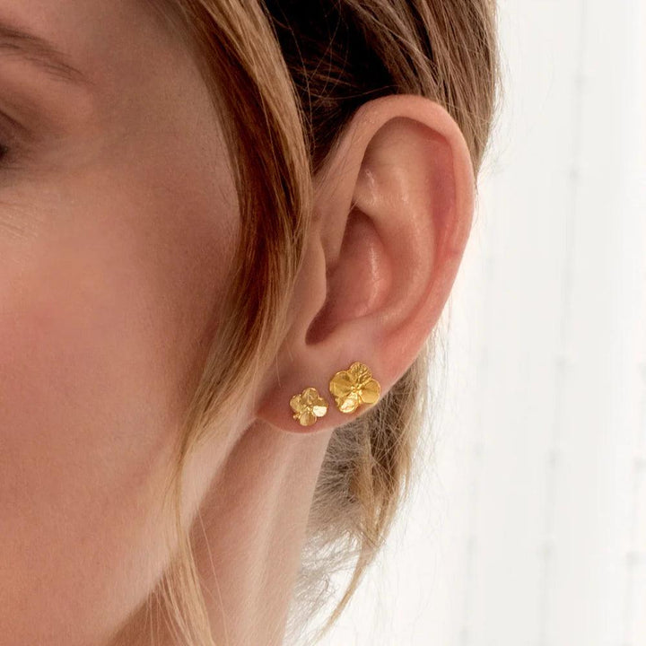 Flora Danica Small Firklover Studs in gold-plated silver, seen on ear in close-up. Model 907-FLC-STPC-SMALL-G-2