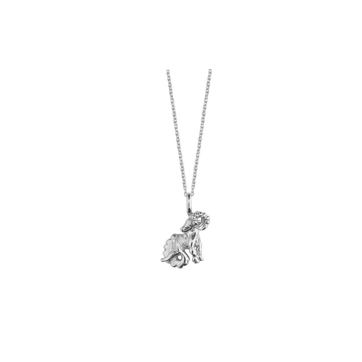 jeberg-i-am-zodiac-necklace-solv zodiac sign with aries pendant in shiny silver on simple chain. Model 42402-002