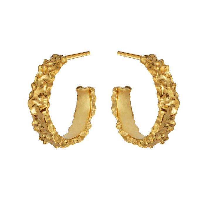 maanesten aio medium earrings gold-plated, round creoles with organic structure, Model 9566a-9566a-1