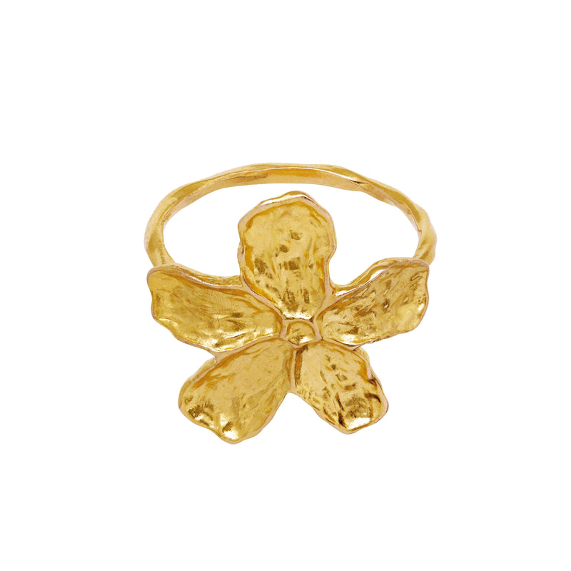 Maanesten Fraisa Ring - Forgyldt - Ringe - 4824A-001