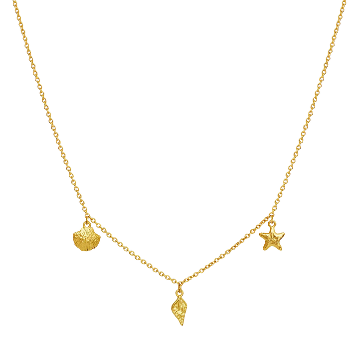 moonstone-iluka-necklace-gilded with fine, golden pendants in a sea theme against a black background. Model 2818a-1.