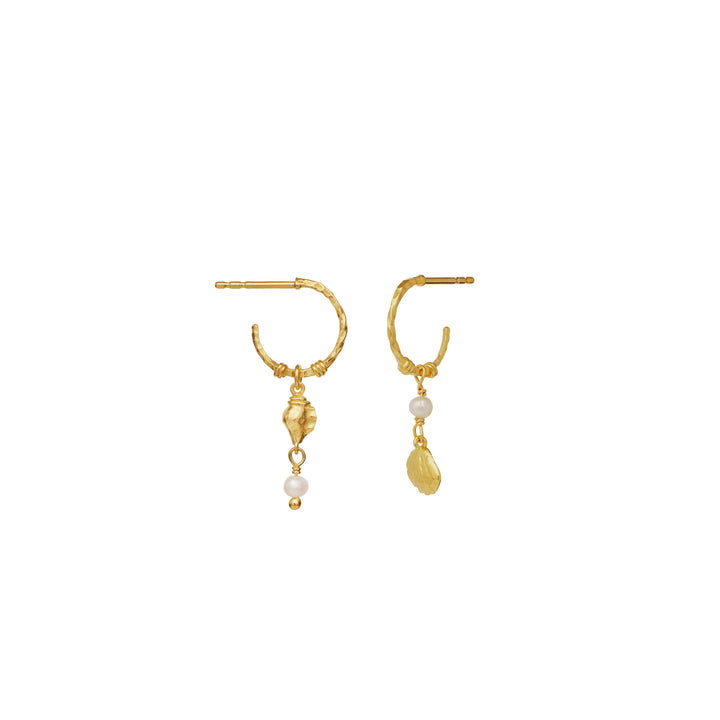maanesten ophelia gold-plated hoops with seashell motifs, two gold earrings with pearls and seashell details, Model 9977a