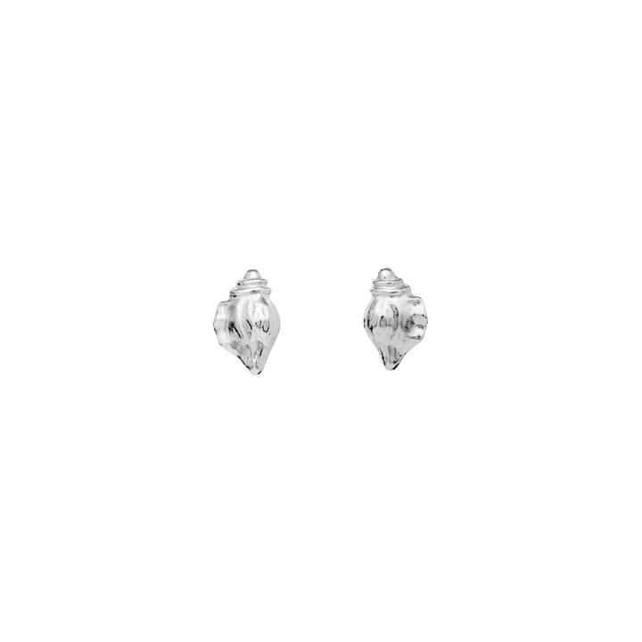 Maanesten Sora silver earrings with conch motif shows small earrings in shiny silver with conch shape, Model 9978c