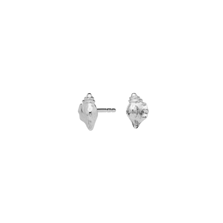 Maanesten Sora silver ear studs with conch motif, glossy finish, model 9978c-2, two small studs shown from the front.