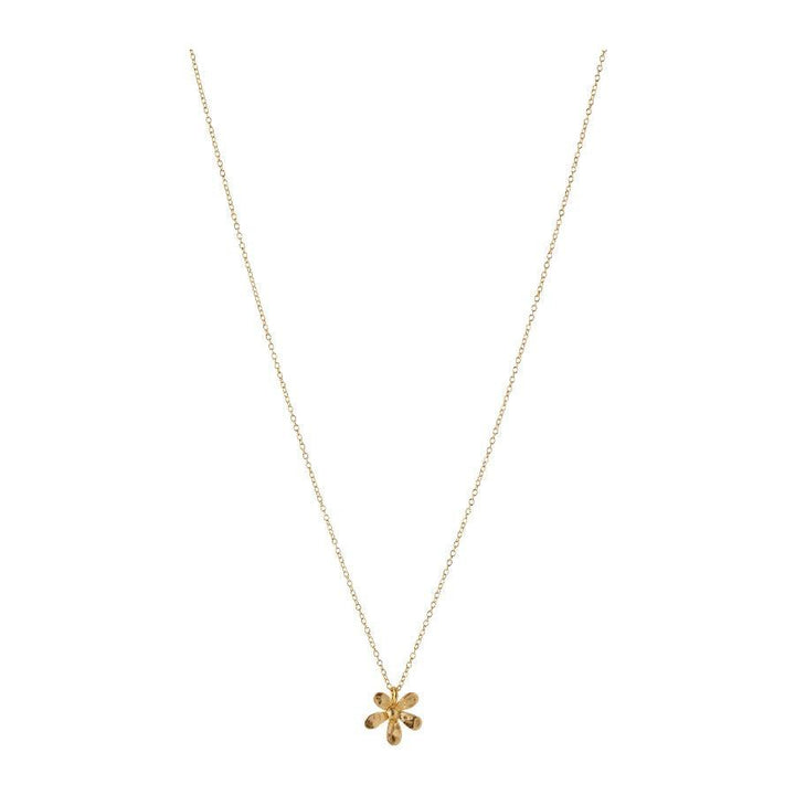 Pernille Corydon Wild Poppy necklace in gold-plated silver with flower pendant on thin chain. Model N-363-GP