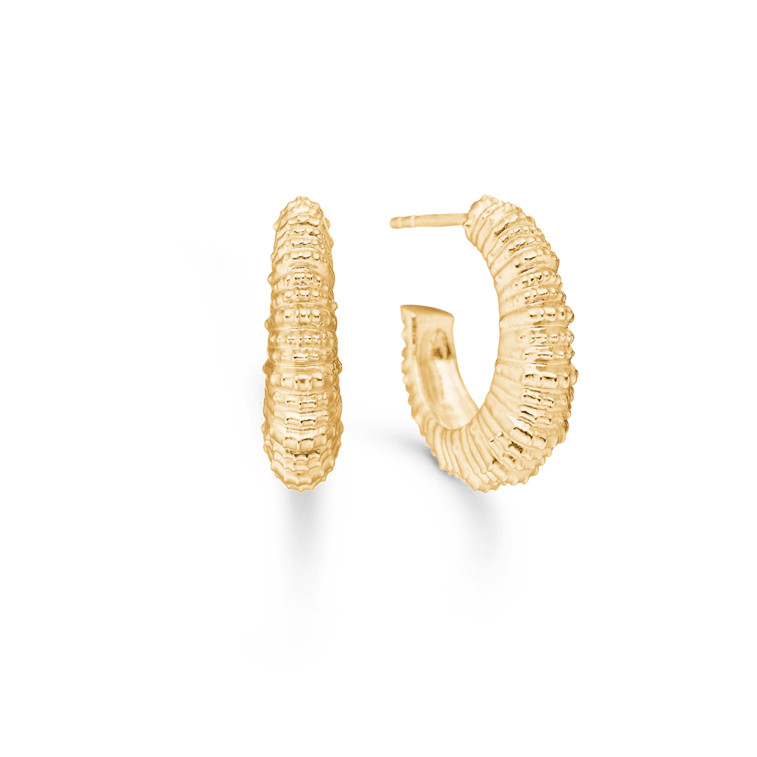 Studio Z Seashell Secrets gold-plated earrings in a large, round model with a wavy surface. Model 7210908