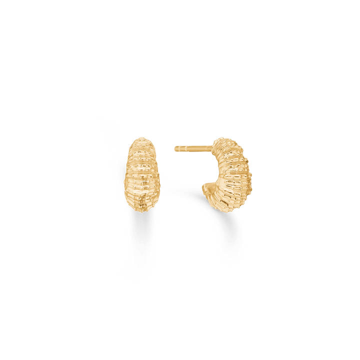 Studio Z Seashell Secrets Gold Plated Earrings small, visible in gold with a textured surface. Model 7210906-1