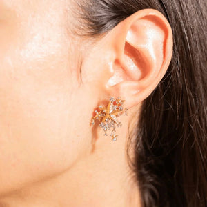 House Of Vincent Earrings