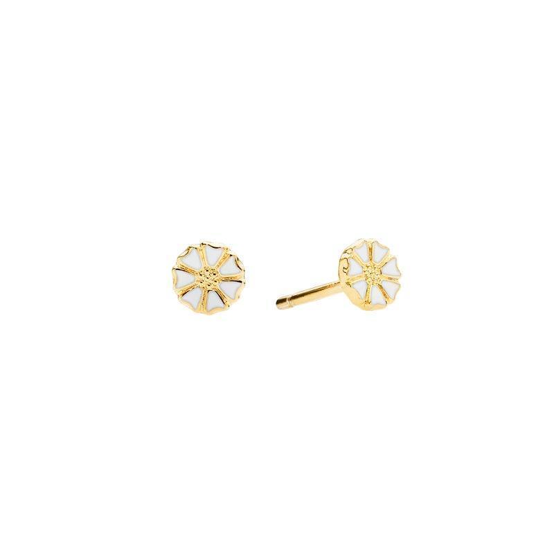 Daisy small studs 5mm gold-plated shows a pair of fine, flower-shaped studs in white and gold, Model 909050-4-M