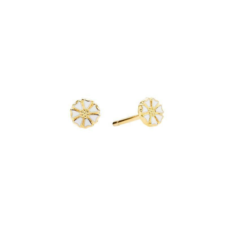 Daisy small studs 5mm gold-plated shows a pair of fine, flower-shaped studs in white and gold, Model 909050-4-M