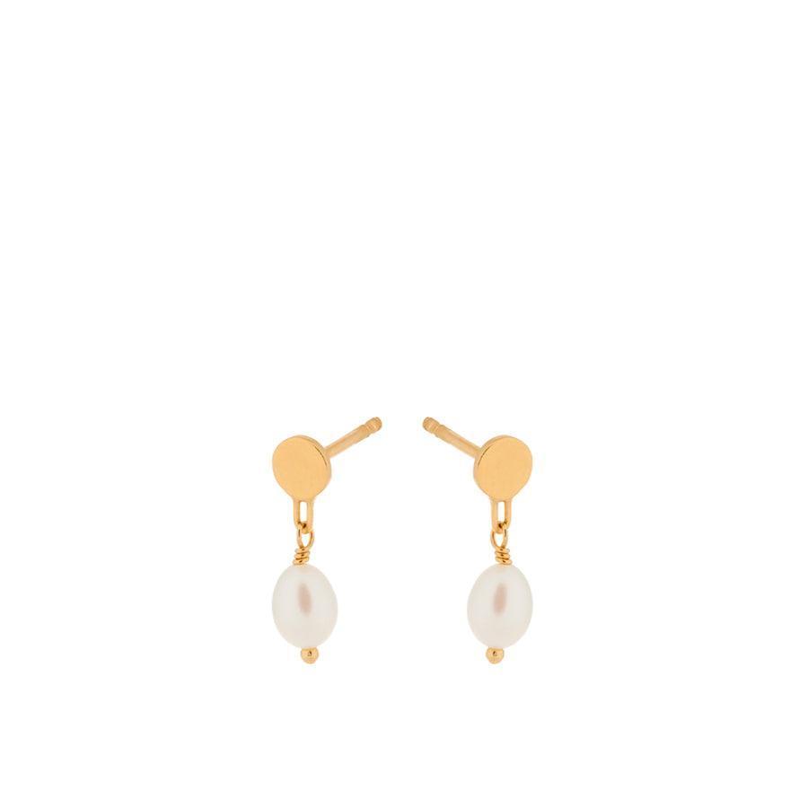 Pernille Corydon Ocean Dream Earrings show elegant earrings in gold-plated metal with white pearls. Model E-430-GP