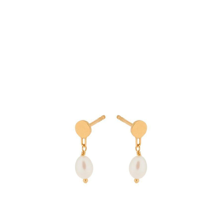 Pernille Corydon Ocean Dream Earrings show elegant earrings in gold-plated metal with white pearls. Model E-430-GP