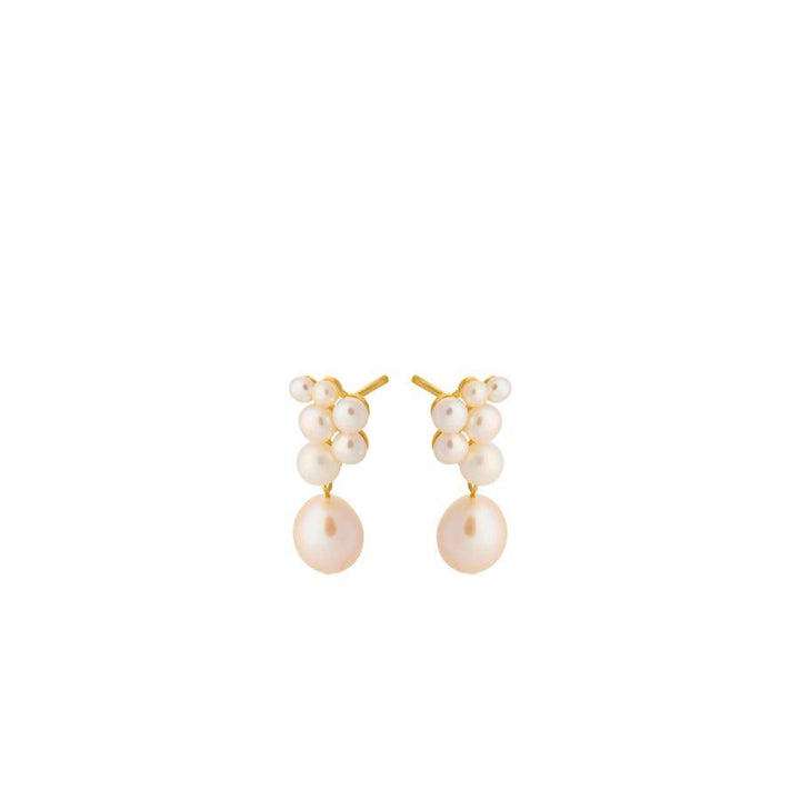 Pernille Corydon Ocean Treasure Earstick showcases elegant earrings in gold-tone metal with white pearls. Model E-445-GP